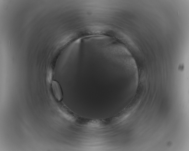 X0000097630076200803142033