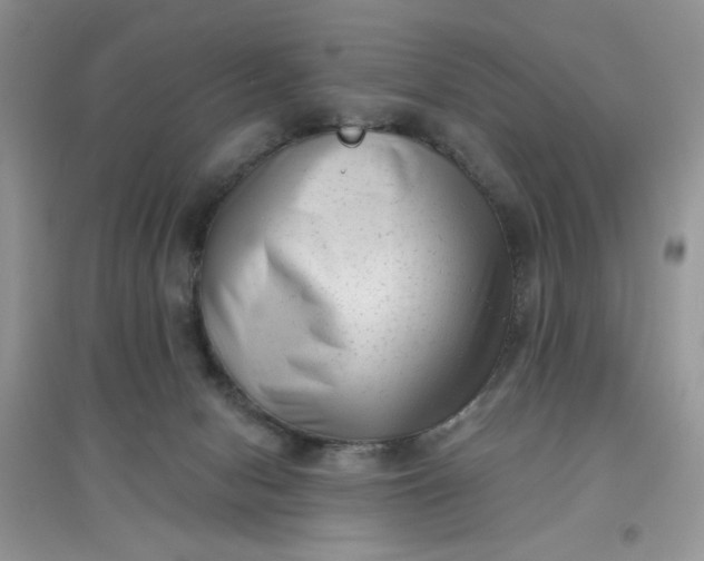 X0000097630078200803142033