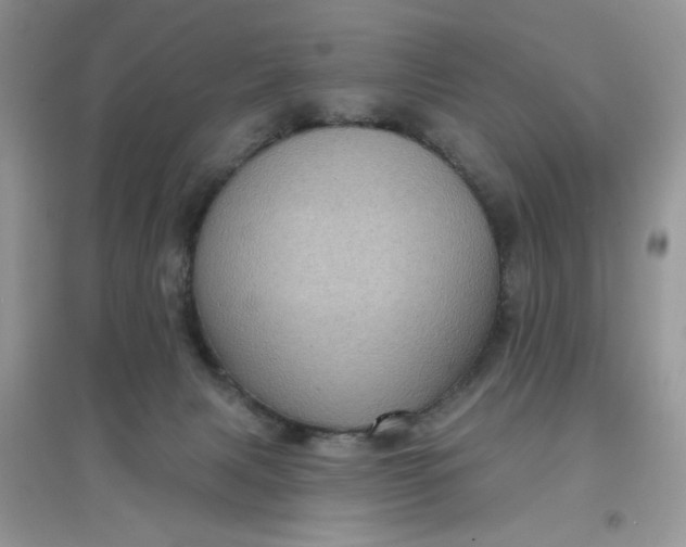 X0000097630079200803142033