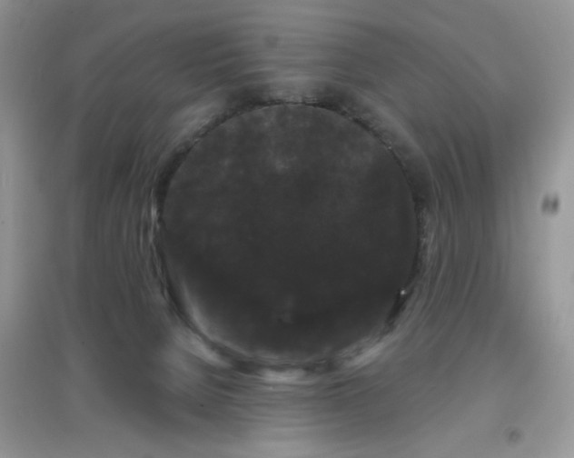 X0000097630080200803142034