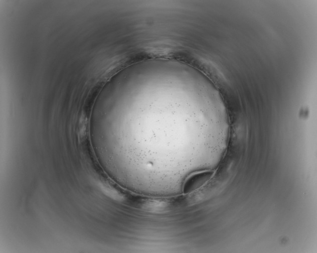 X0000097630081200803142034