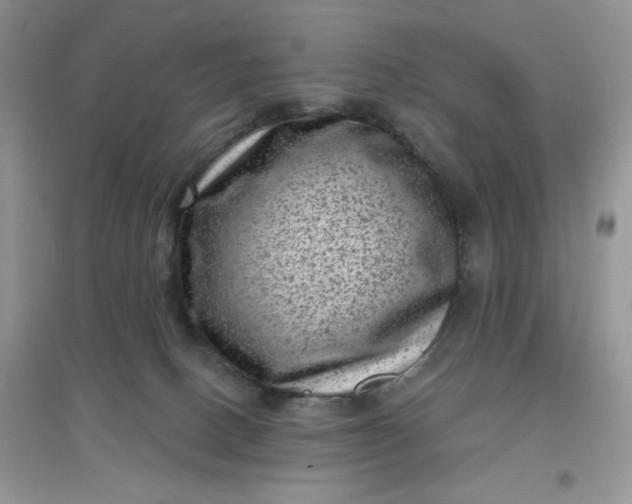 X0000097630082200803142034