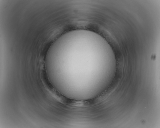 X0000097630083200803142034