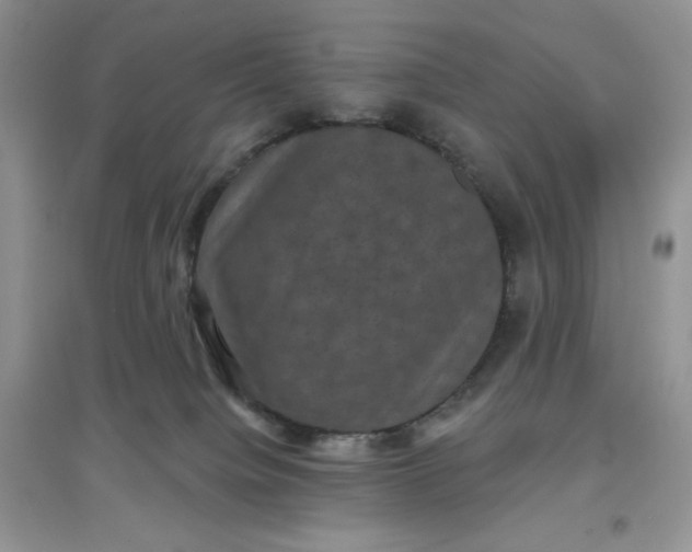 X0000097630084200803142034