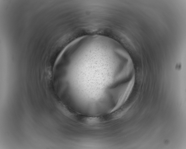 X0000097630085200803142034