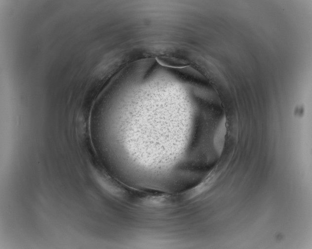 X0000097630086200803142034