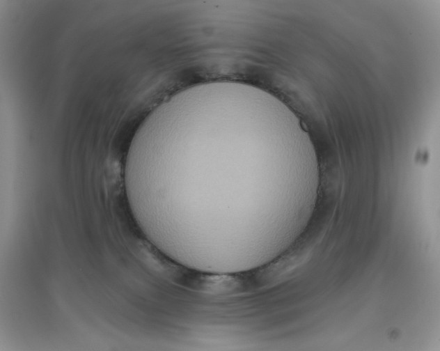 X0000097630087200803142034