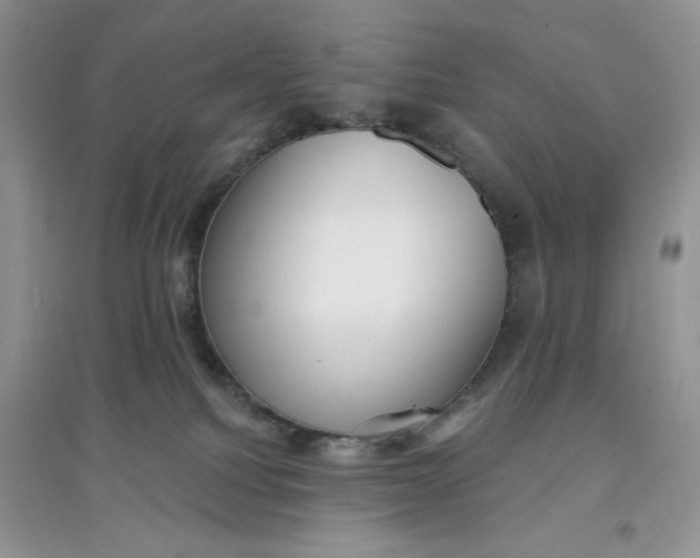 X0000097630088200803142034