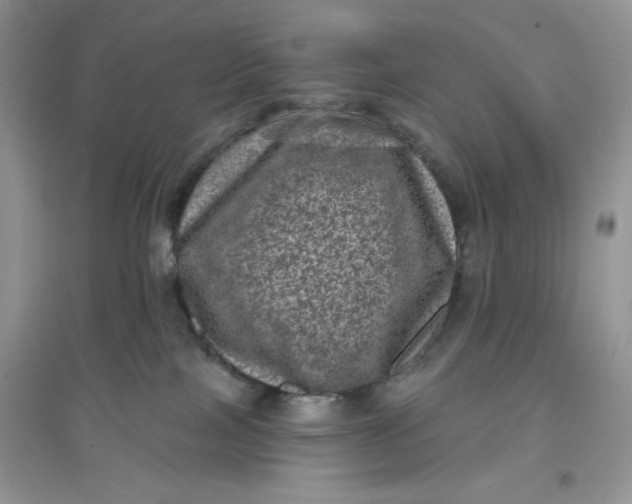 X0000097630089200803142034