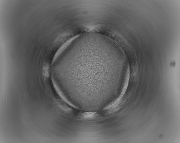 X0000097630090200803142034