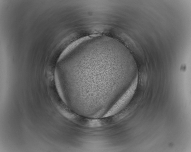 X0000097630091200803142034