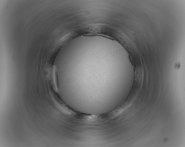 X0000097630092200803142034