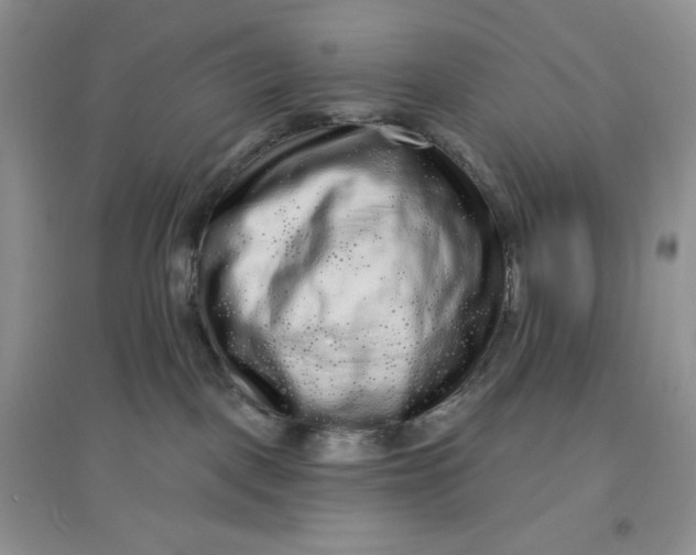 X0000097630093200803142034