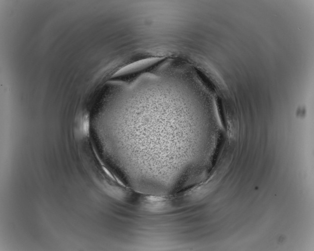 X0000097630095200803142034