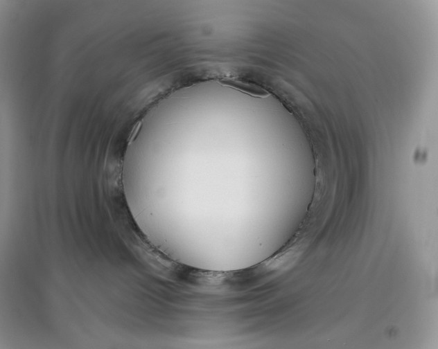 X0000097630096200803142034