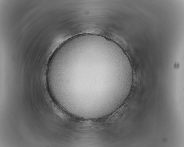 X0000097630098200803142033