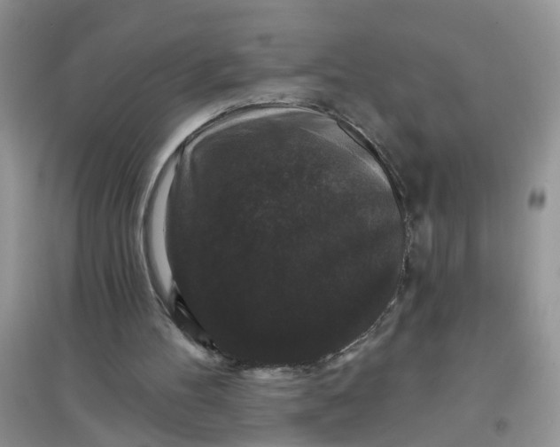 X0000097630100200803142033