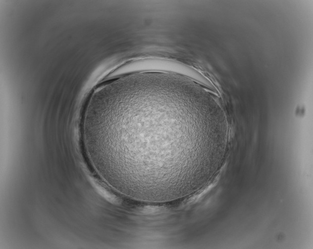 X0000097630101200803142033