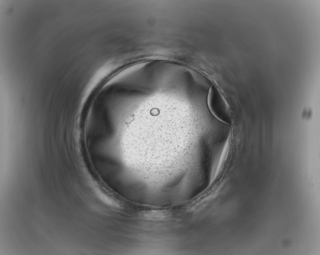 X0000097630102200803142033