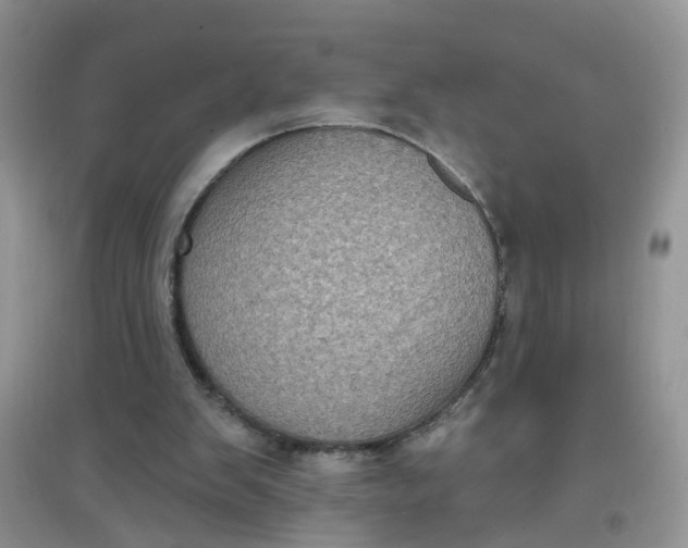 X0000097630103200803142033