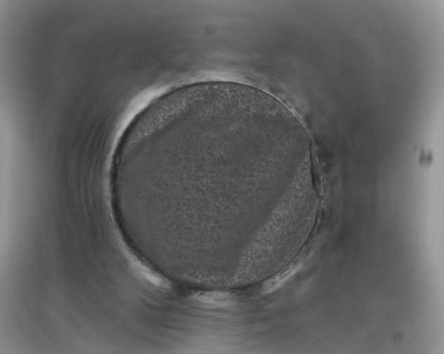 X0000097630104200803142033