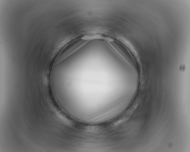 X0000097630105200803142033