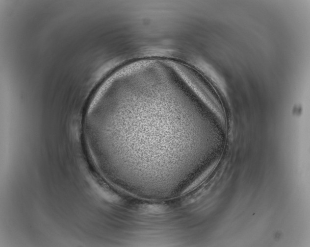 X0000097630107200803142033