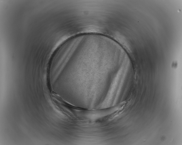 X0000097630108200803142033