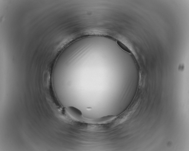 X0000097630109200803142033