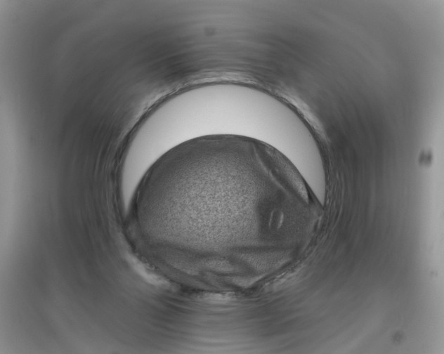 X0000097630110200803142033