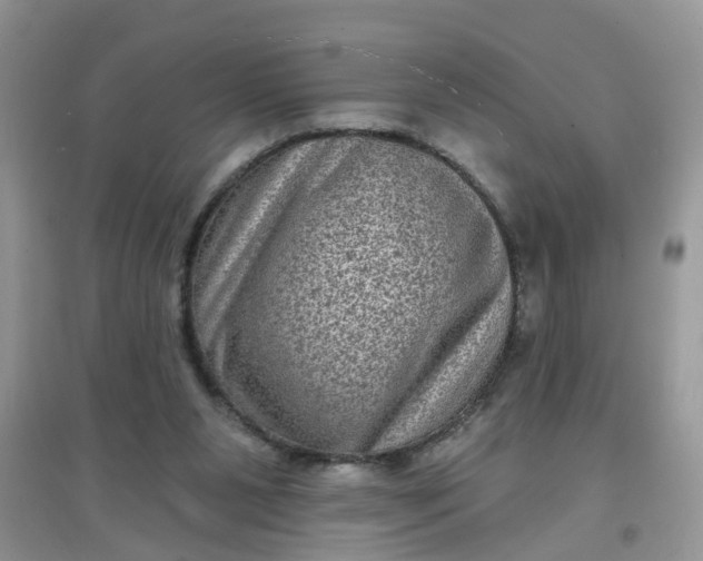 X0000097630111200803142033