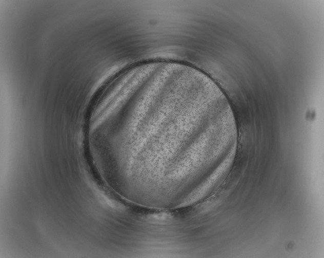 X0000097630112200803142033