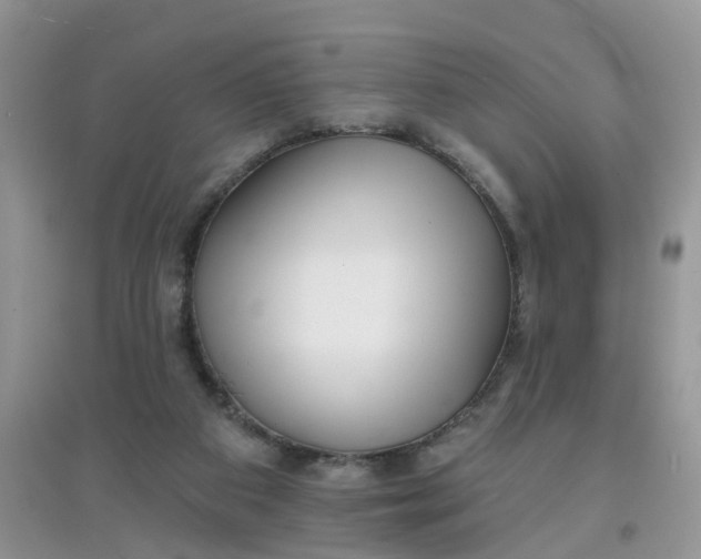 X0000097630113200803142033