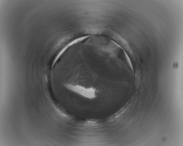 X0000097630114200803142033