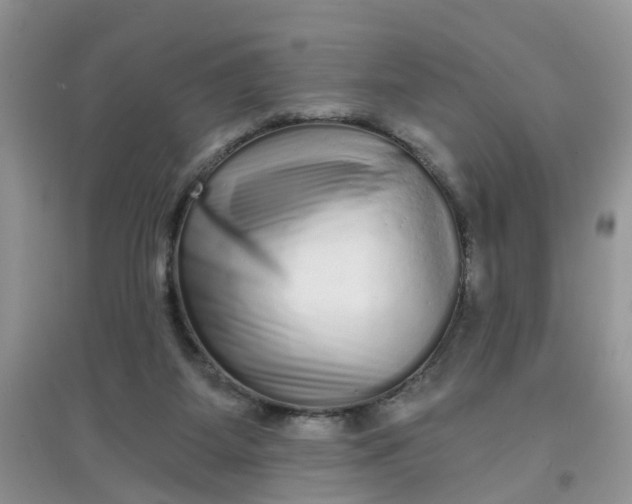 X0000097630115200803142033