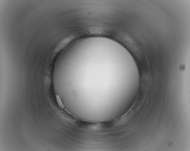 X0000097630116200803142033