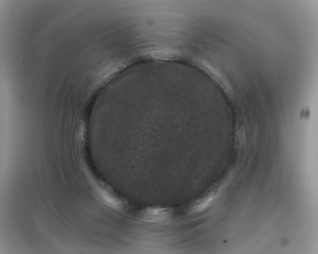 X0000097630117200803142033