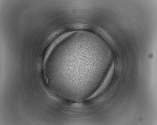 X0000097630119200803142033