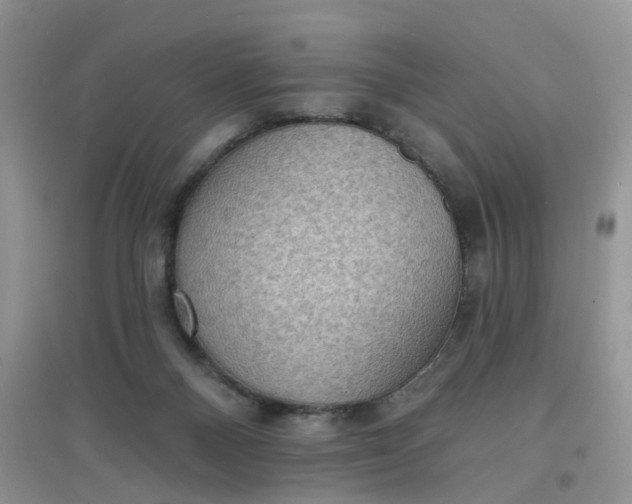 X0000097630120200803142033