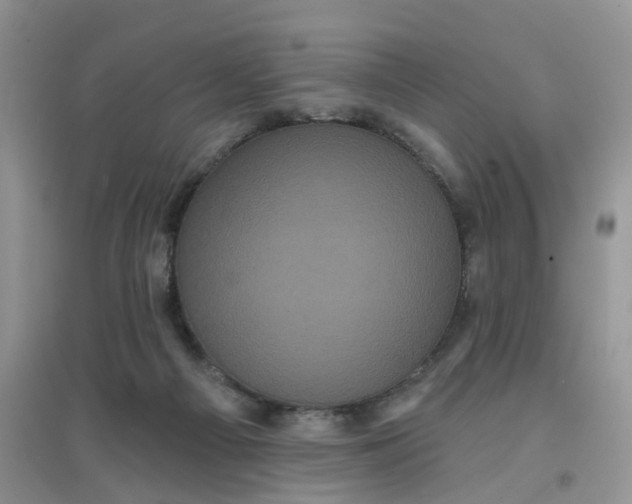 X0000097630121200803142033