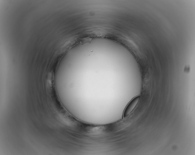 X0000097630122200803142033