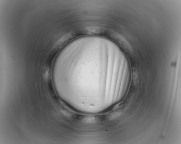 X0000097630123200803142033