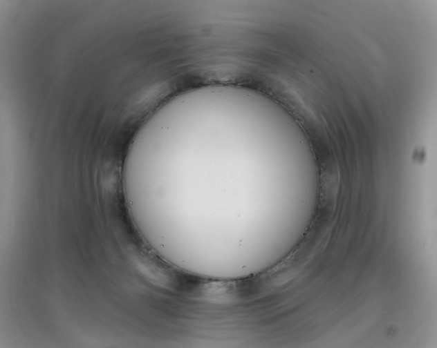 X0000097630126200803142032