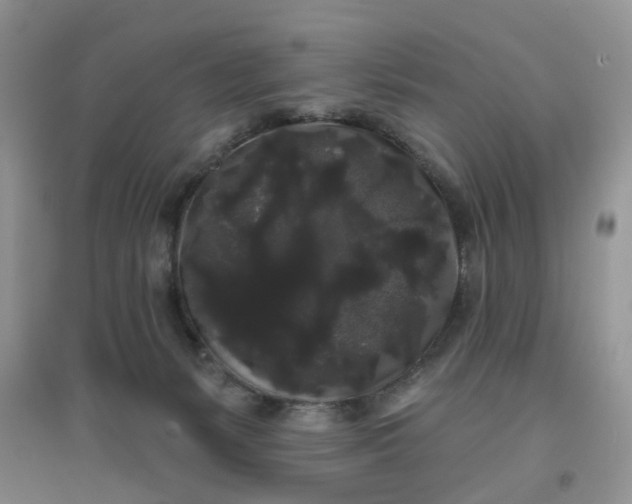 X0000097630127200803142032