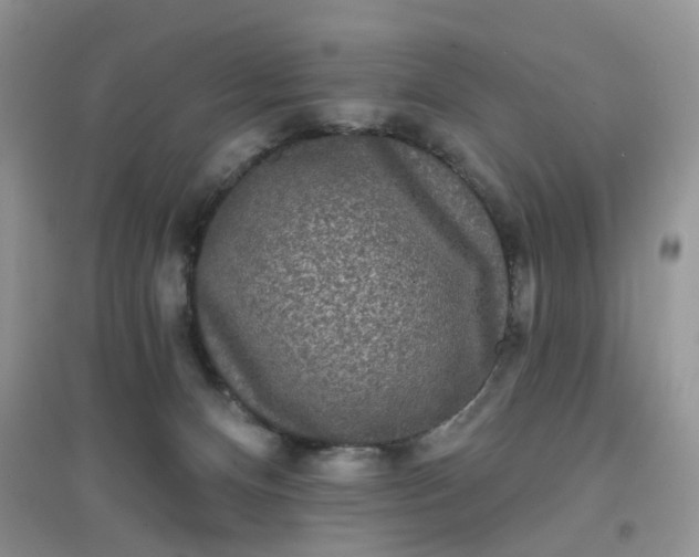 X0000097630128200803142032