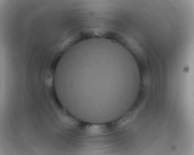 X0000097630129200803142032