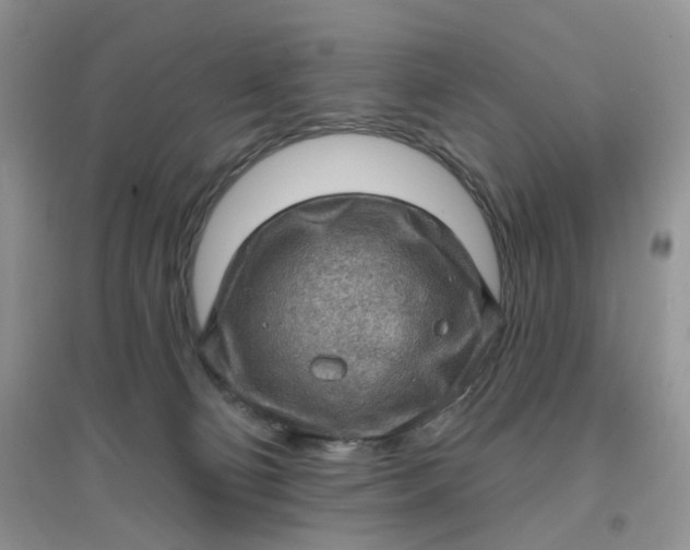 X0000097630130200803142032