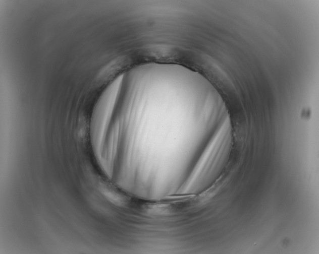 X0000097630132200803142032