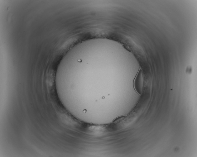 X0000097630133200803142032