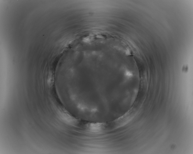 X0000097630134200803142032